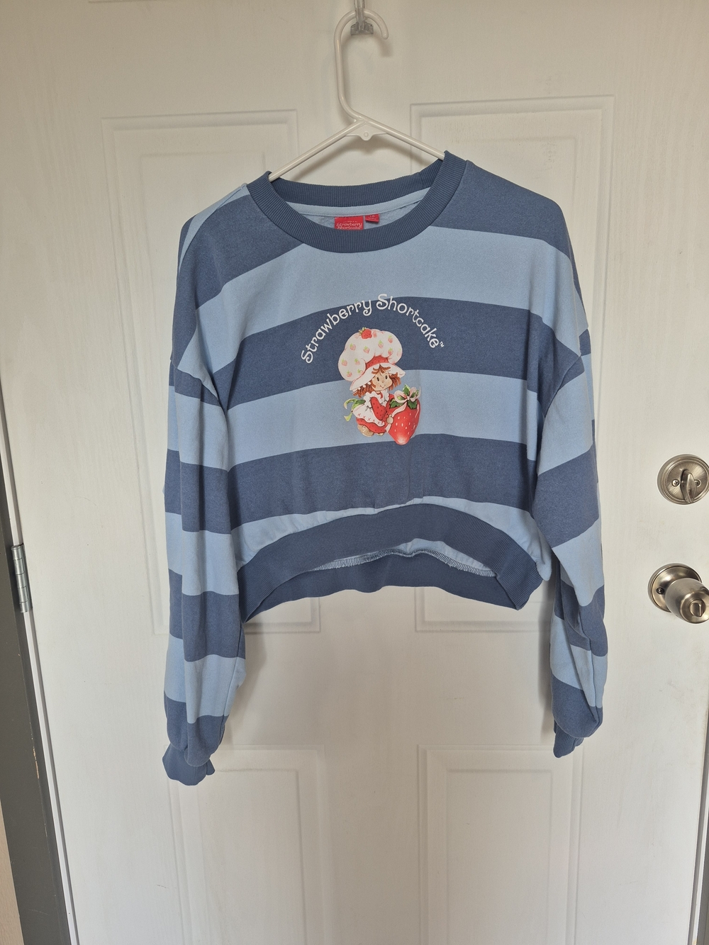 Striped Crop Sweater with Strawberry Shortcake Graphic - Blue